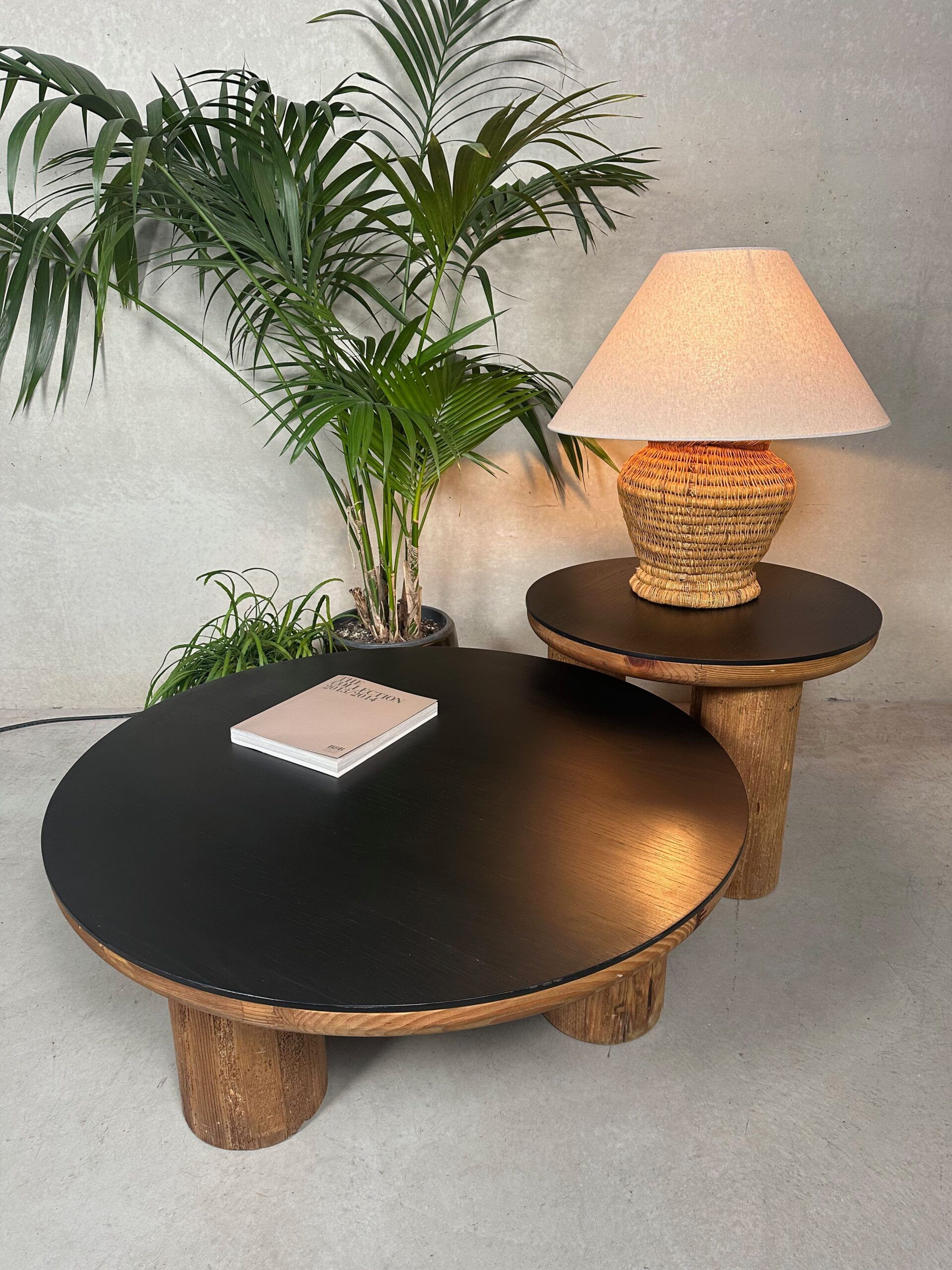 2x japandi coffee table