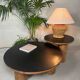 2x japandi coffee table