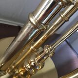 Golden bronze hot water lamp