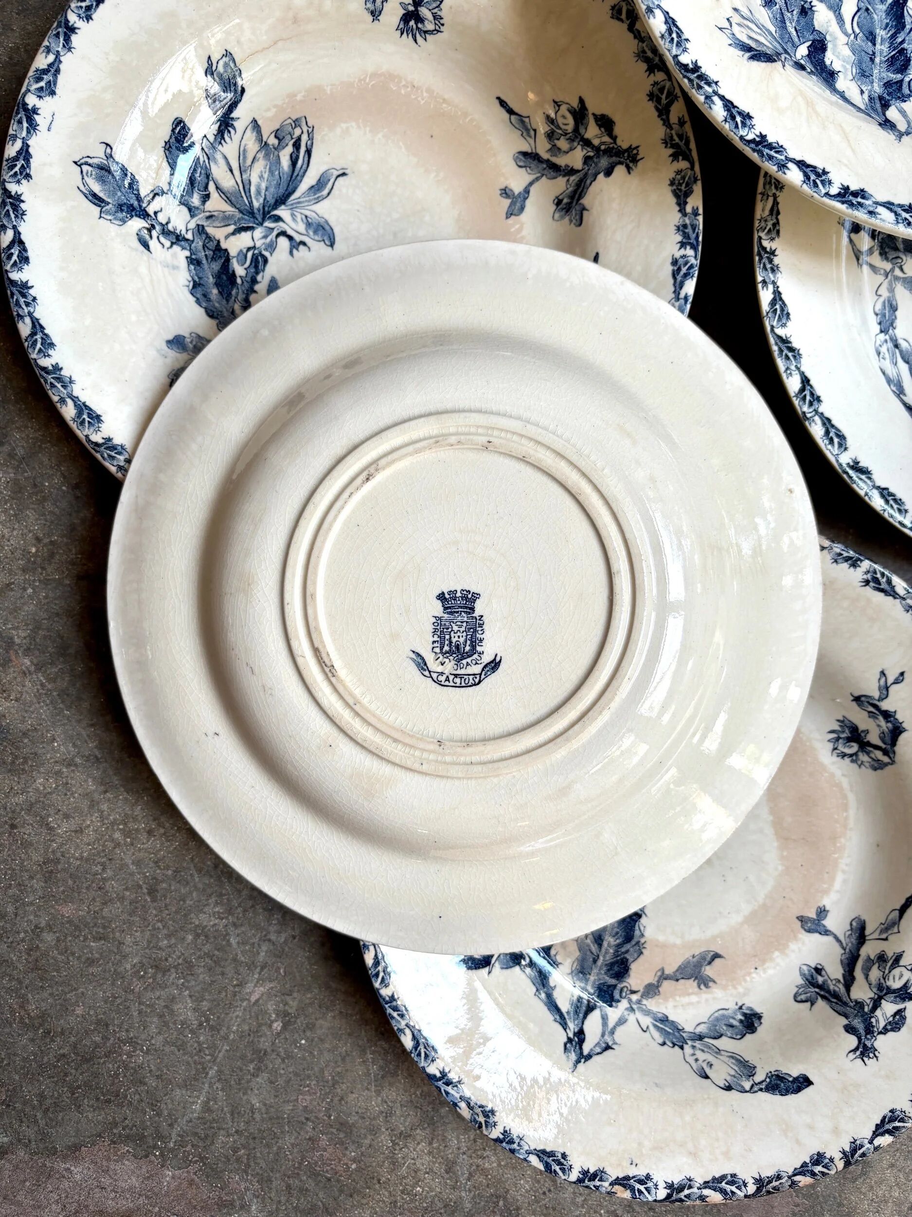 6 deep plates Gien in blue ironstone, "Cactus" service.