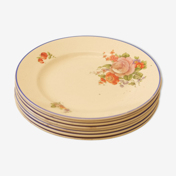 Series 8 flowered plates