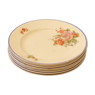 Series 8 flowered plates