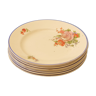 Series 8 flowered plates