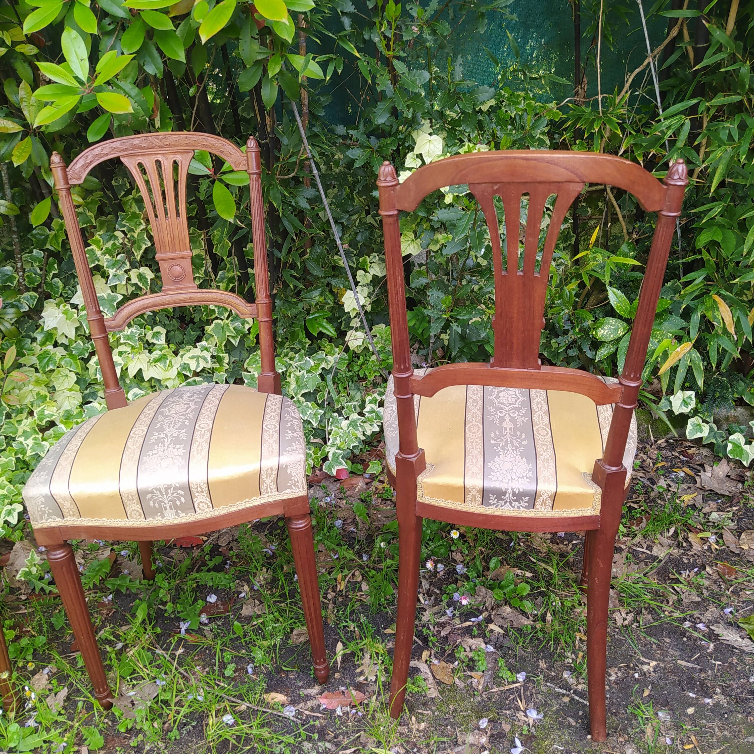4 old chairs from the early 20th century in mahogany