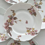 6 antique dessert plates in Limoges porcelain by Haviland & Co.