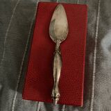 Pêle à gâteau en argent