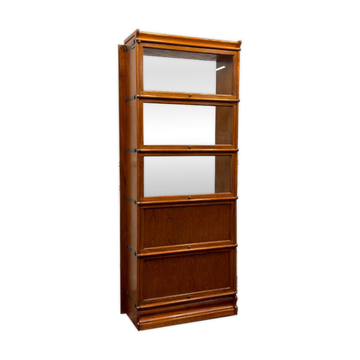 Original Globe Wernicke Bookcase Door