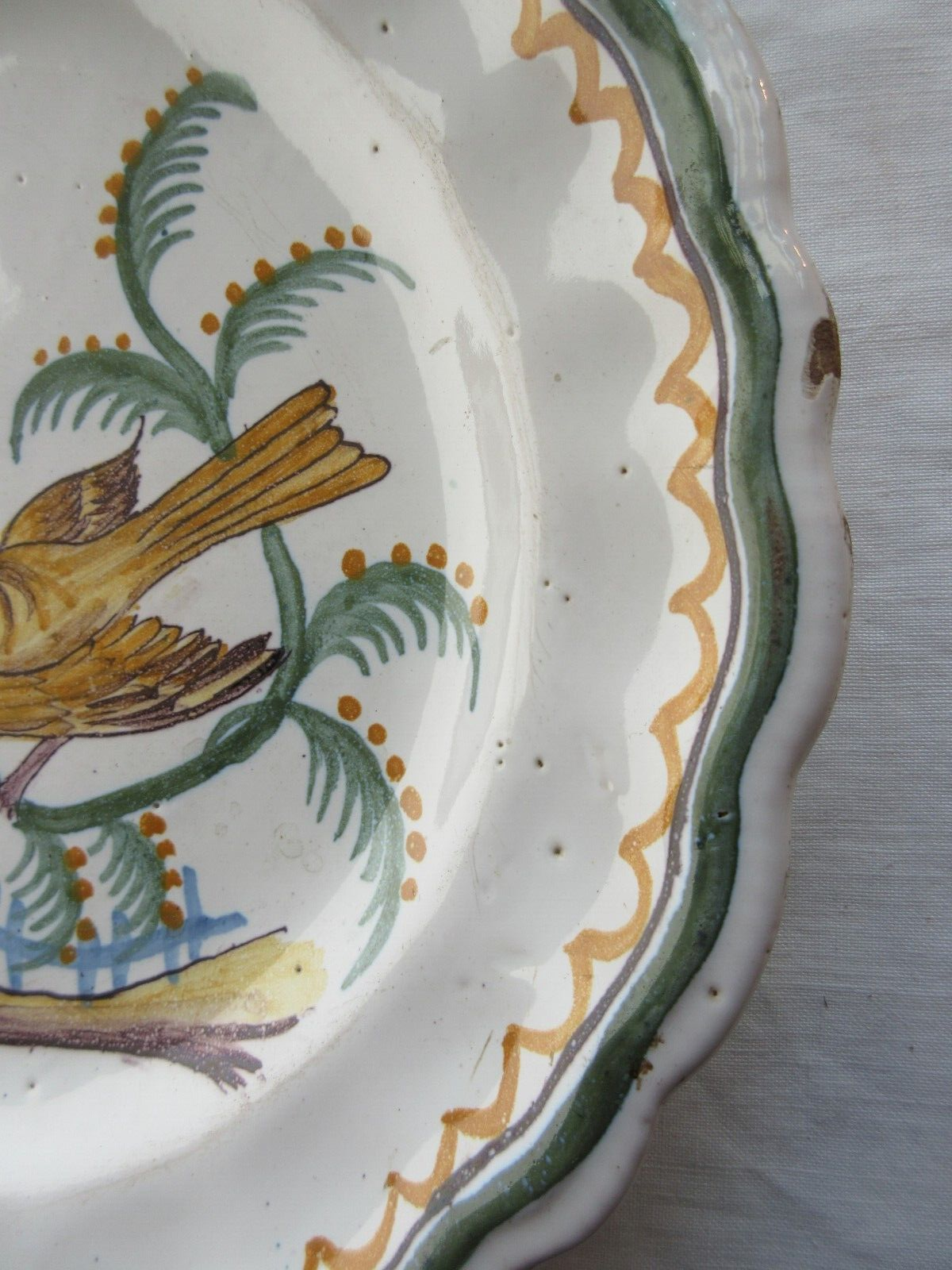 Plate XIXth, Perched bird catching insects