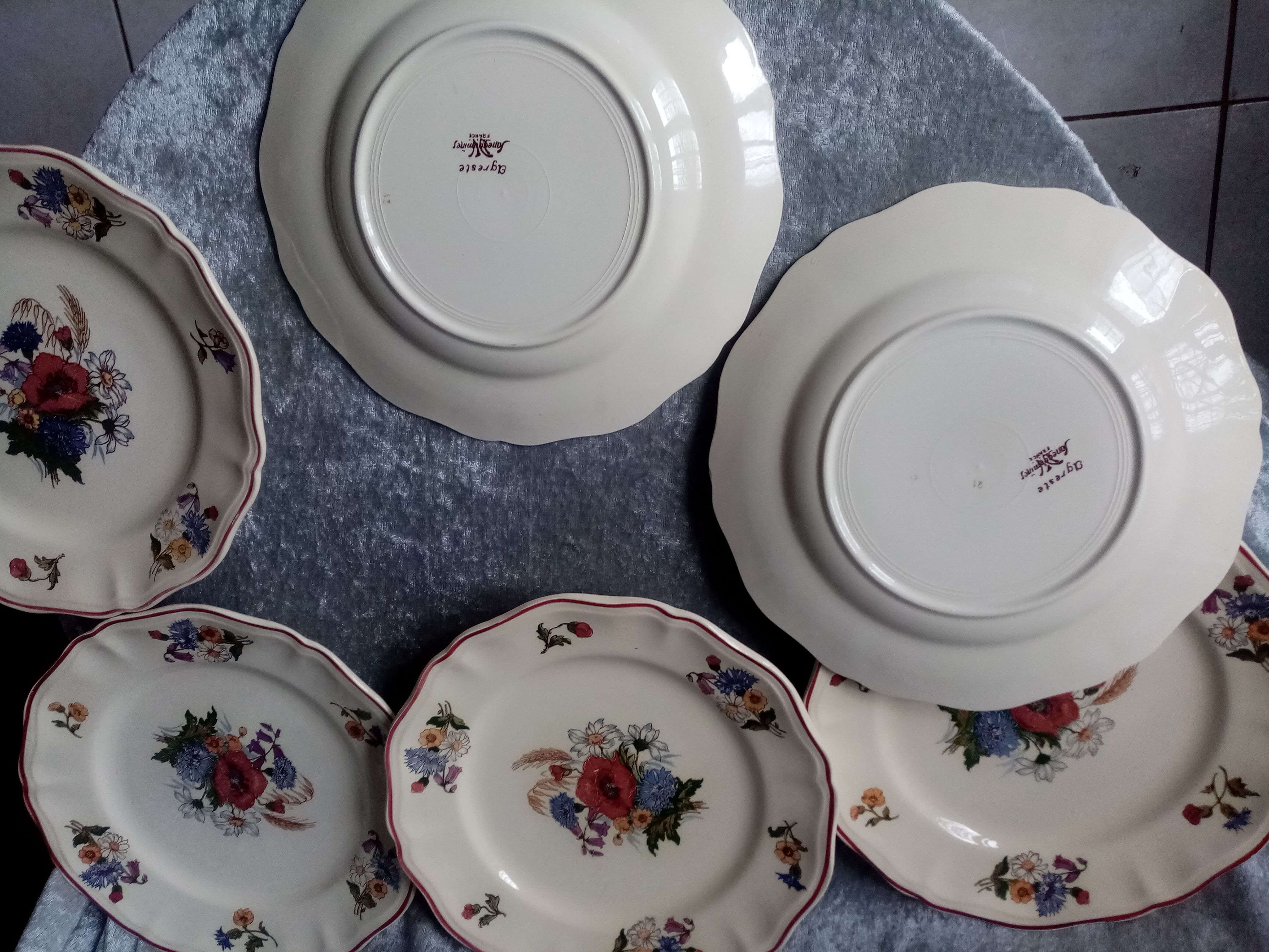 Series of 6 flat plates in earthenware of sarreguemines model agreste