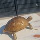 Vintage bronze turtle ashtray