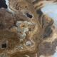 Marble onyx coffee table
