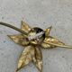 Large brass wall light, Willy Daro