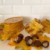 terrine sanglier geo
