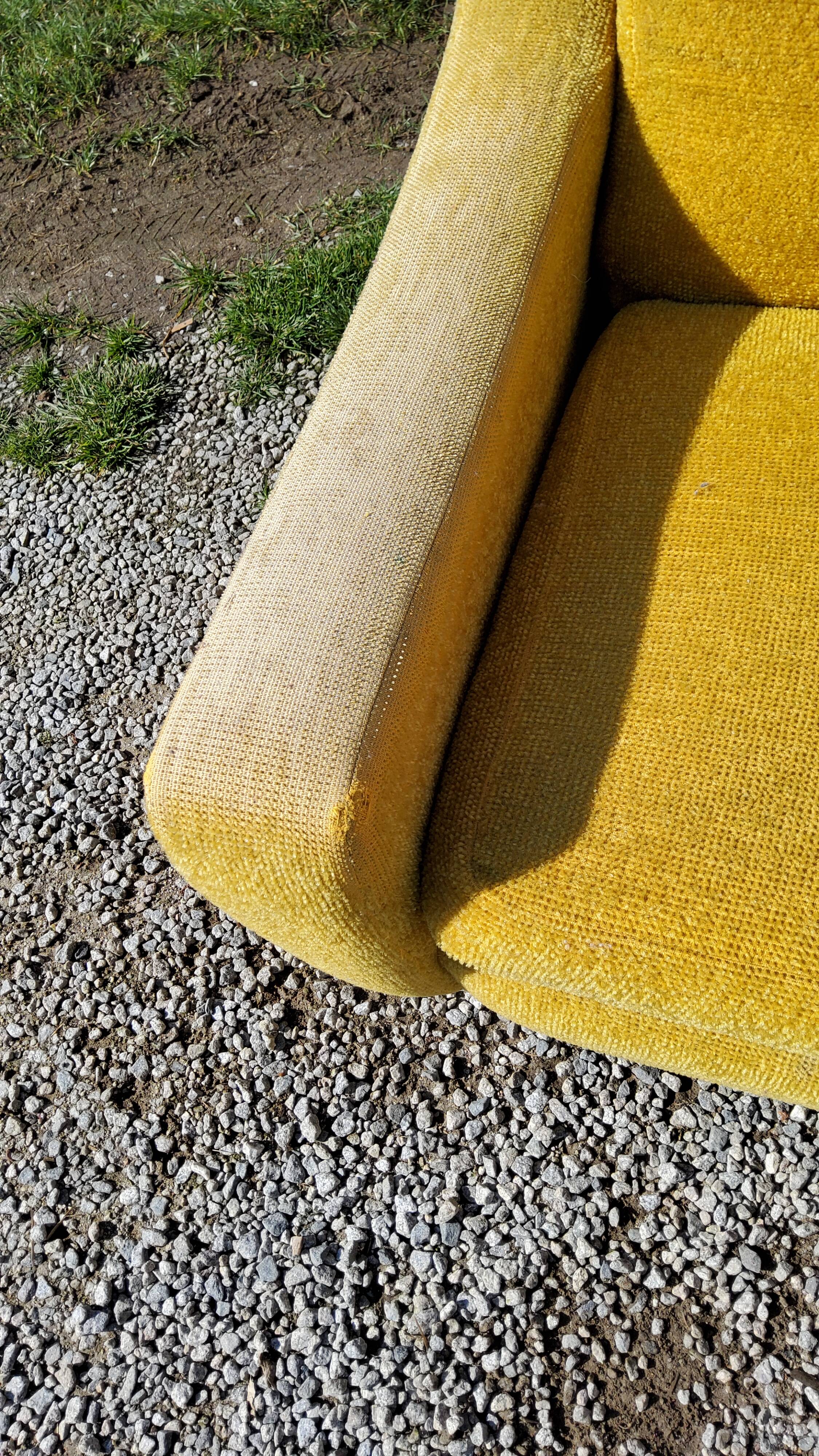 Armchair of the 70s velvet base sleigh in solid mahogany