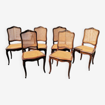 Set of 6 canning chairs