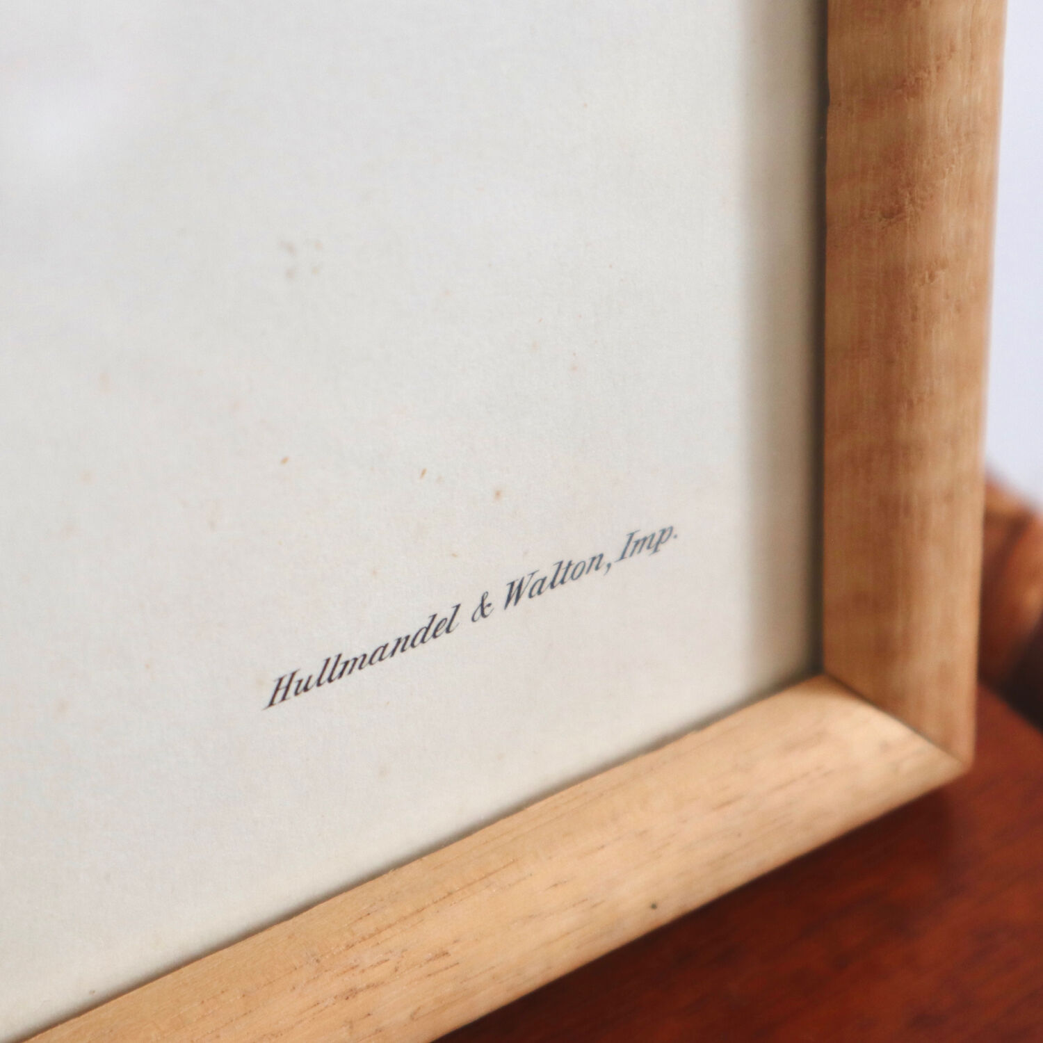 Vintage bird illustration