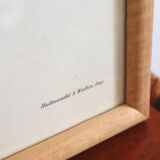 Vintage bird illustration