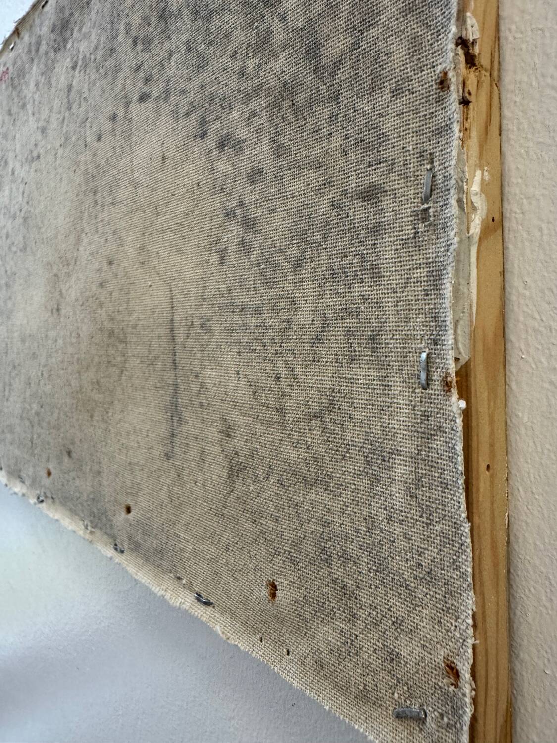 Still life painting K. Cotton