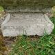Pair of vintage antique stone Medici planters