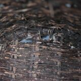 XXL woven basket antique, wicker basket, storage, baker's tool