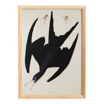 Poster of the superb frigate, based on an old engraving from 1827