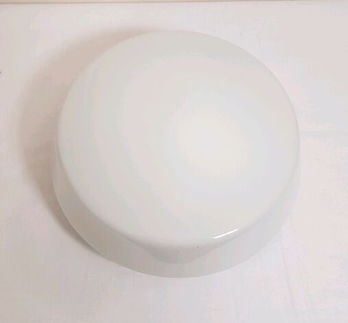 Ceiling light in opaline white 60's