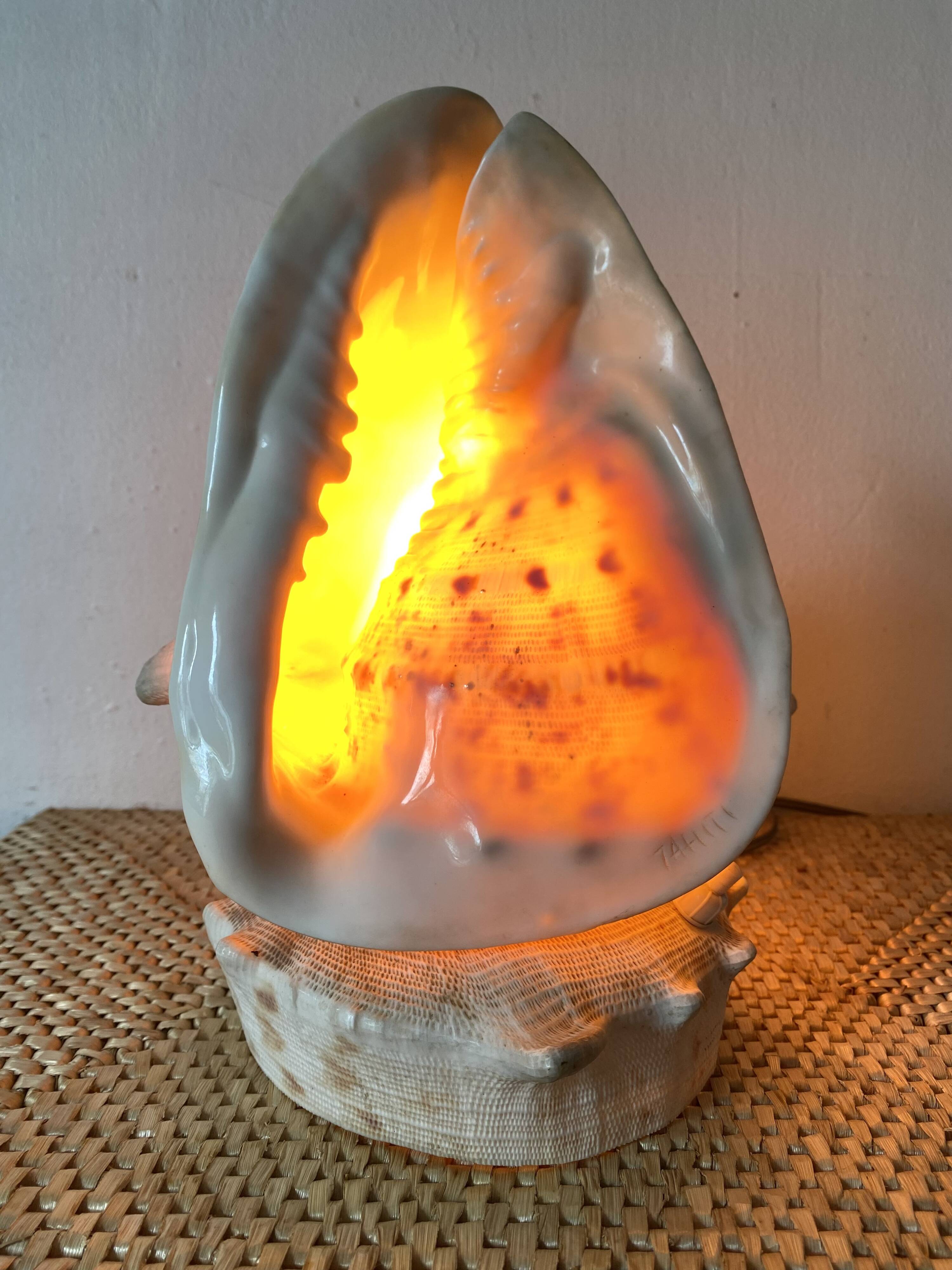 Lampe veilleuse en coquillage casque royal Tahiti