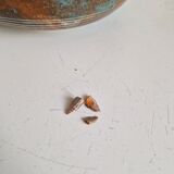 Large Jug Yvon Roy Montgolfier 1960 in Ceramic