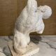 Bust of a man, plaster study