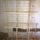 Lot bakery shelves