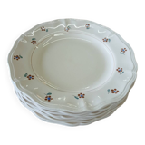 9 assiettes plates anciennes Digoin Sarreguemines