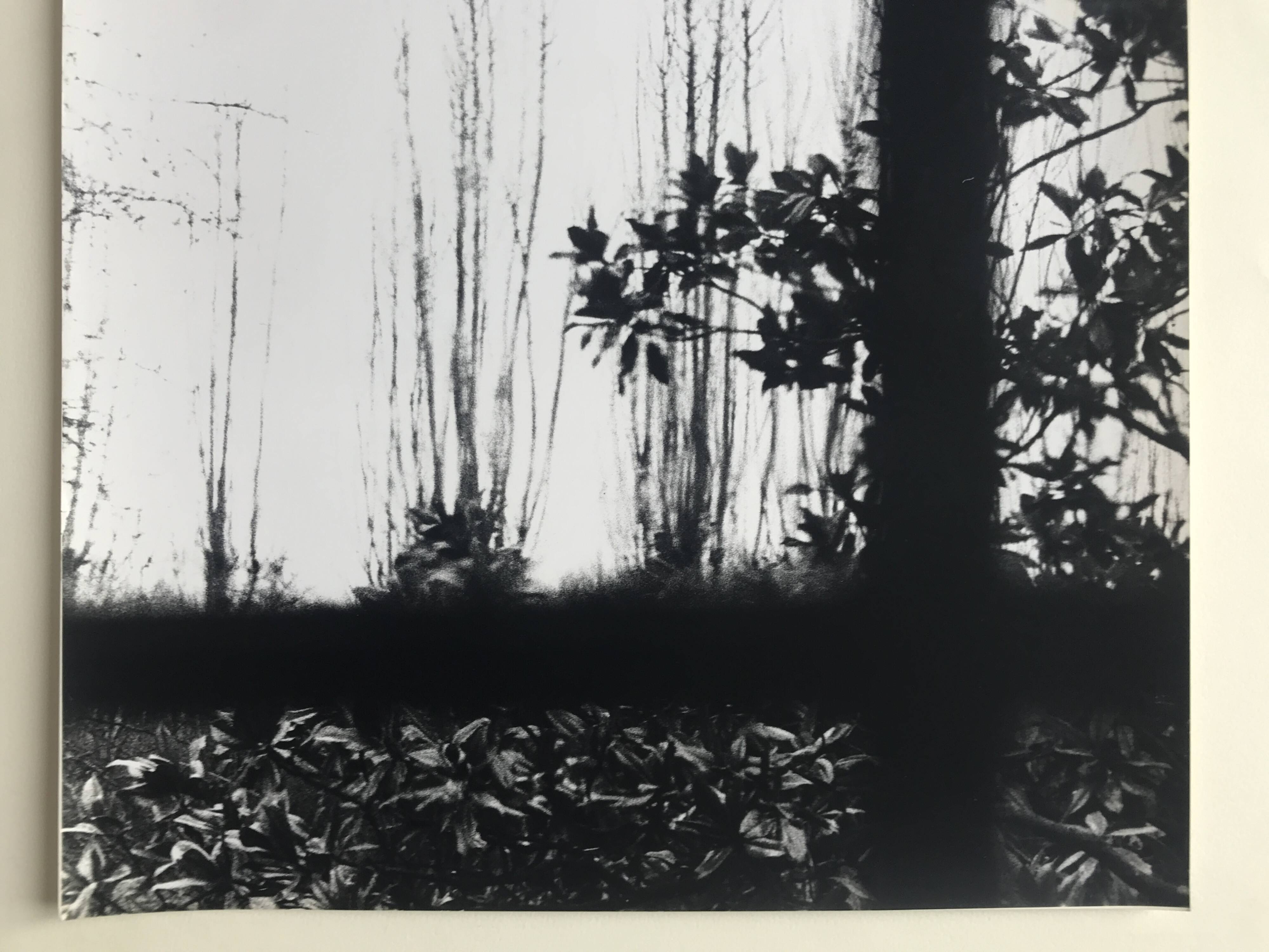 Rosine nusimovici, untitled (window), c 1980. black and white silver print