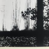 Rosine nusimovici, untitled (window), c 1980. black and white silver print