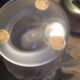 Antique crystal vase signed Lalique