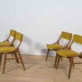 Chairs from Zamojska, Poland, 1970s, Set of 4