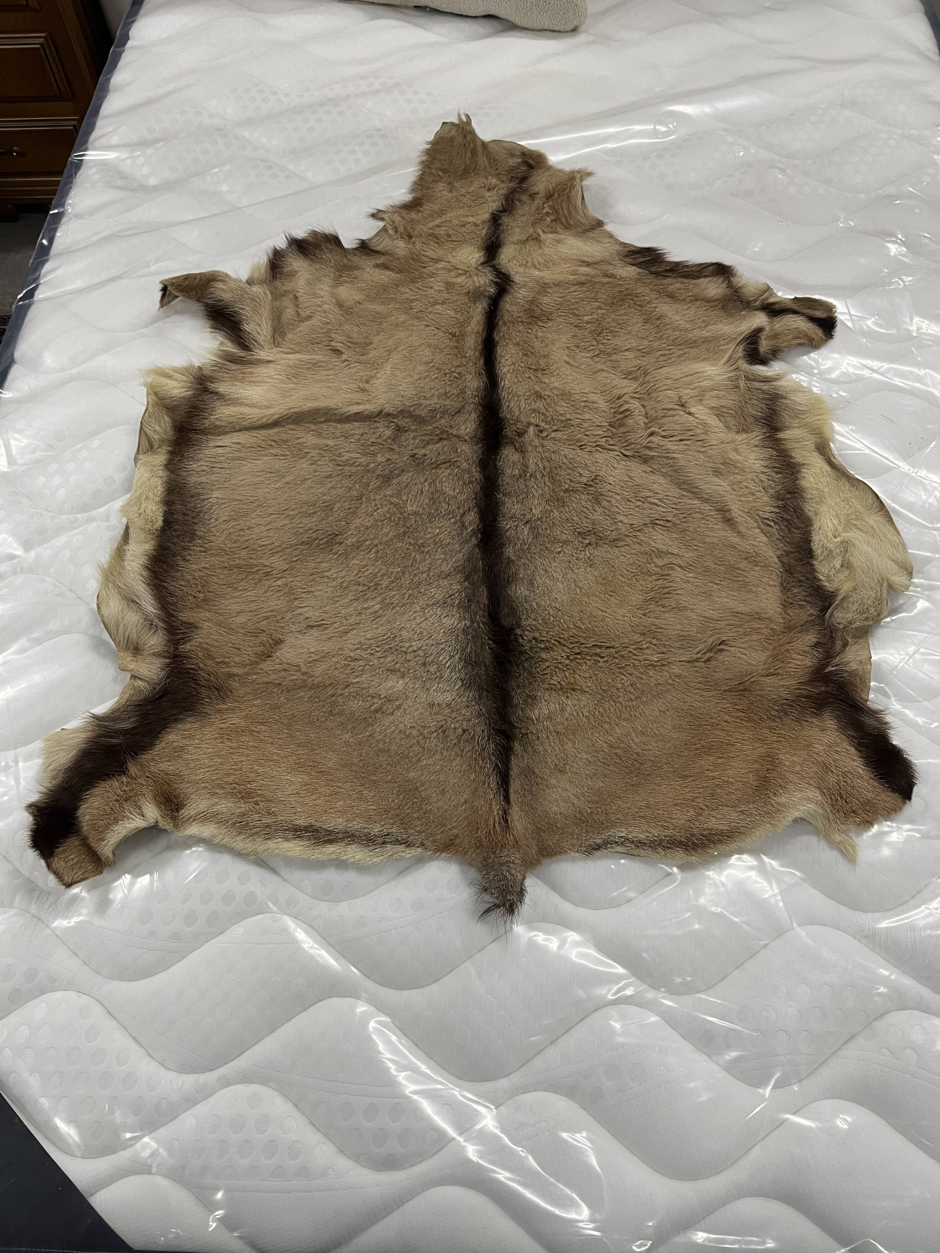 Goat skin rug, 20th century.