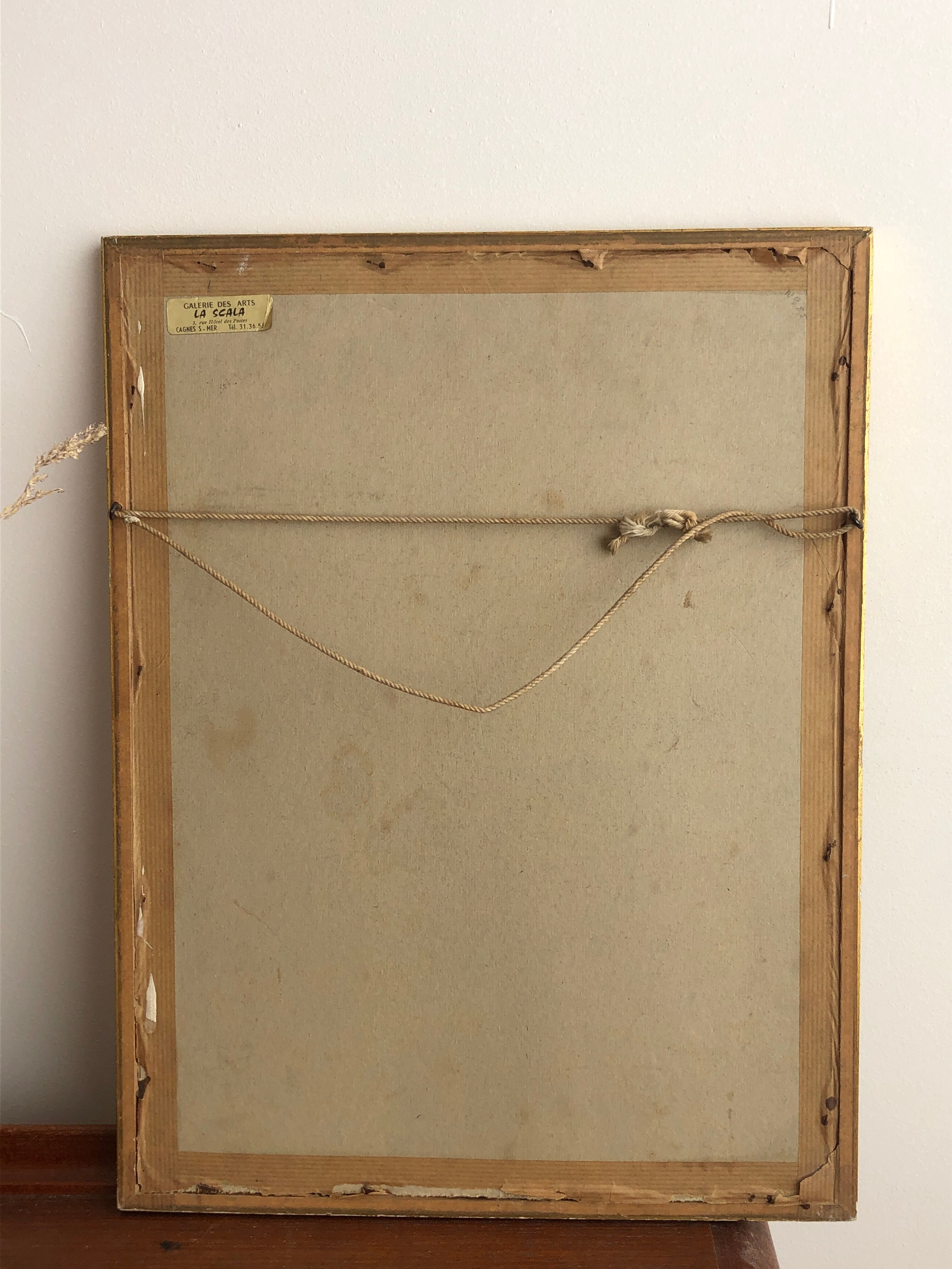 « Platycercus Icterotis » ornithological board  - J&L Gould