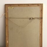 « Platycercus Icterotis » ornithological board  - J&L Gould