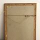 « Platycercus Icterotis » ornithological board  - J&L Gould