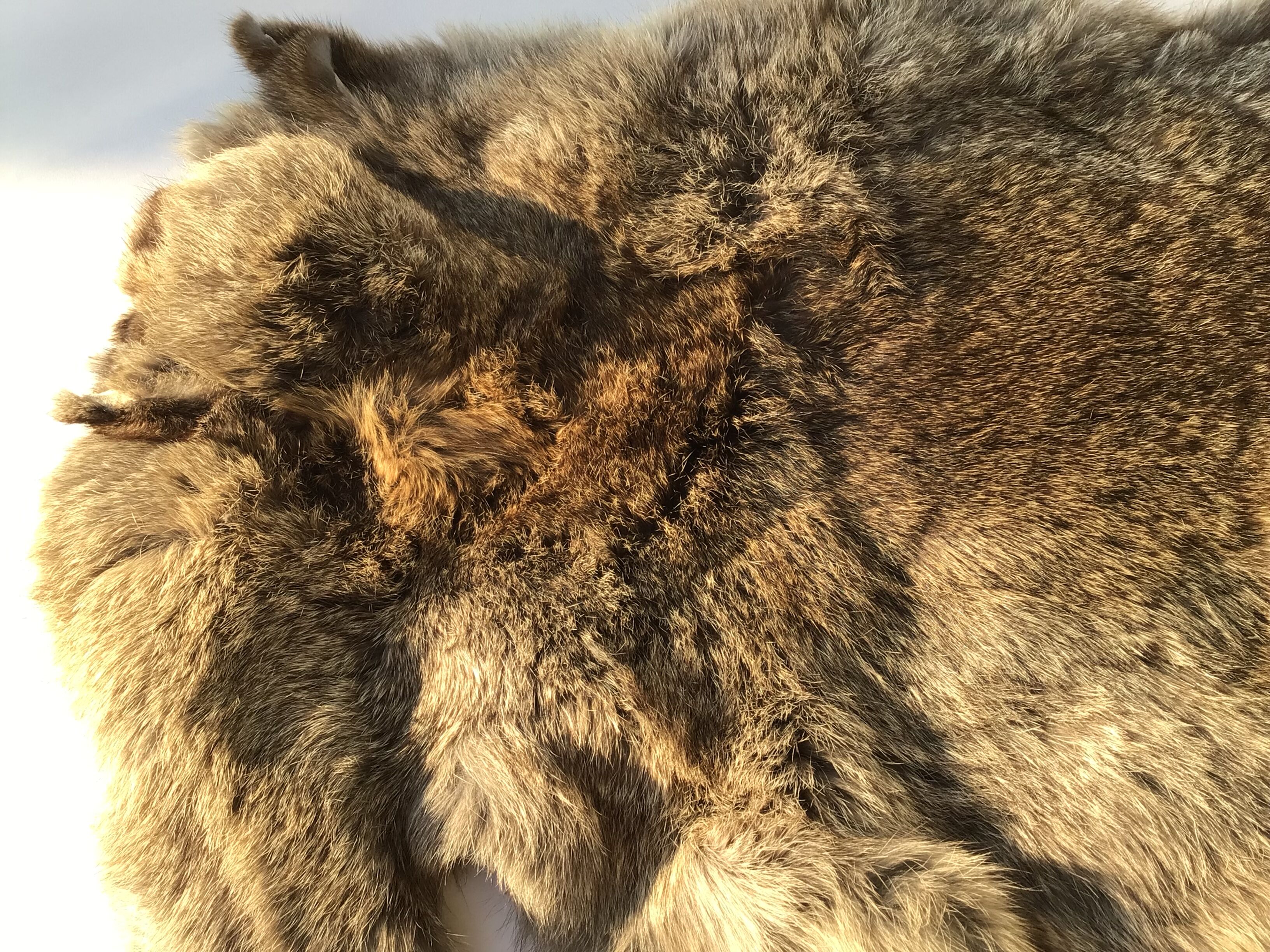 Rabbit skin brown taupe