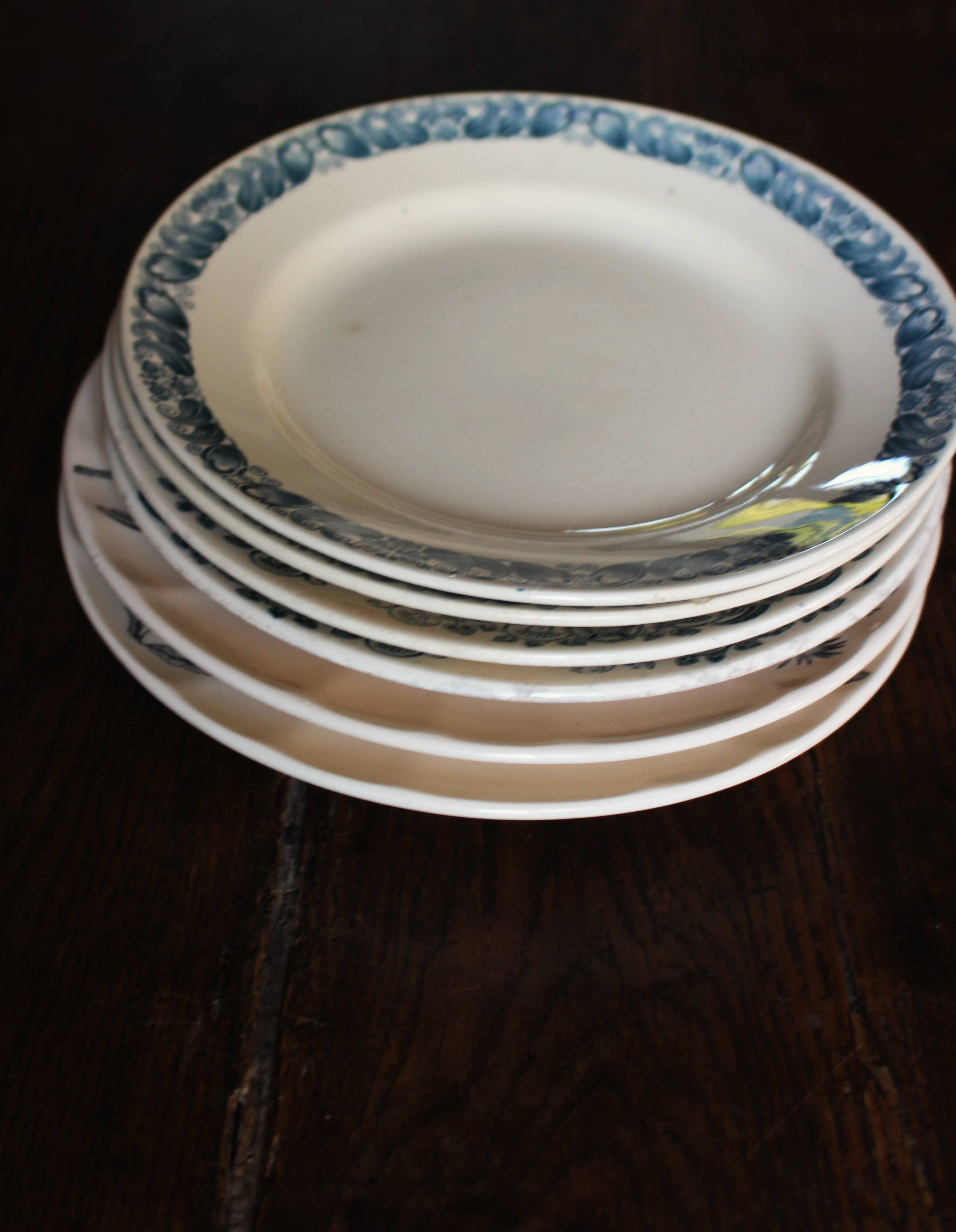 6 Terre de Fer blue Marcel Alésia Exotic Longchamp plates
