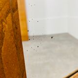 Mirror psyche art deco oak 1930