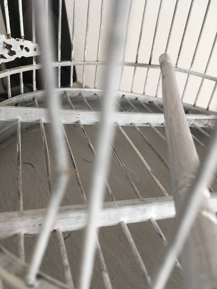 White painted rattan bird cage