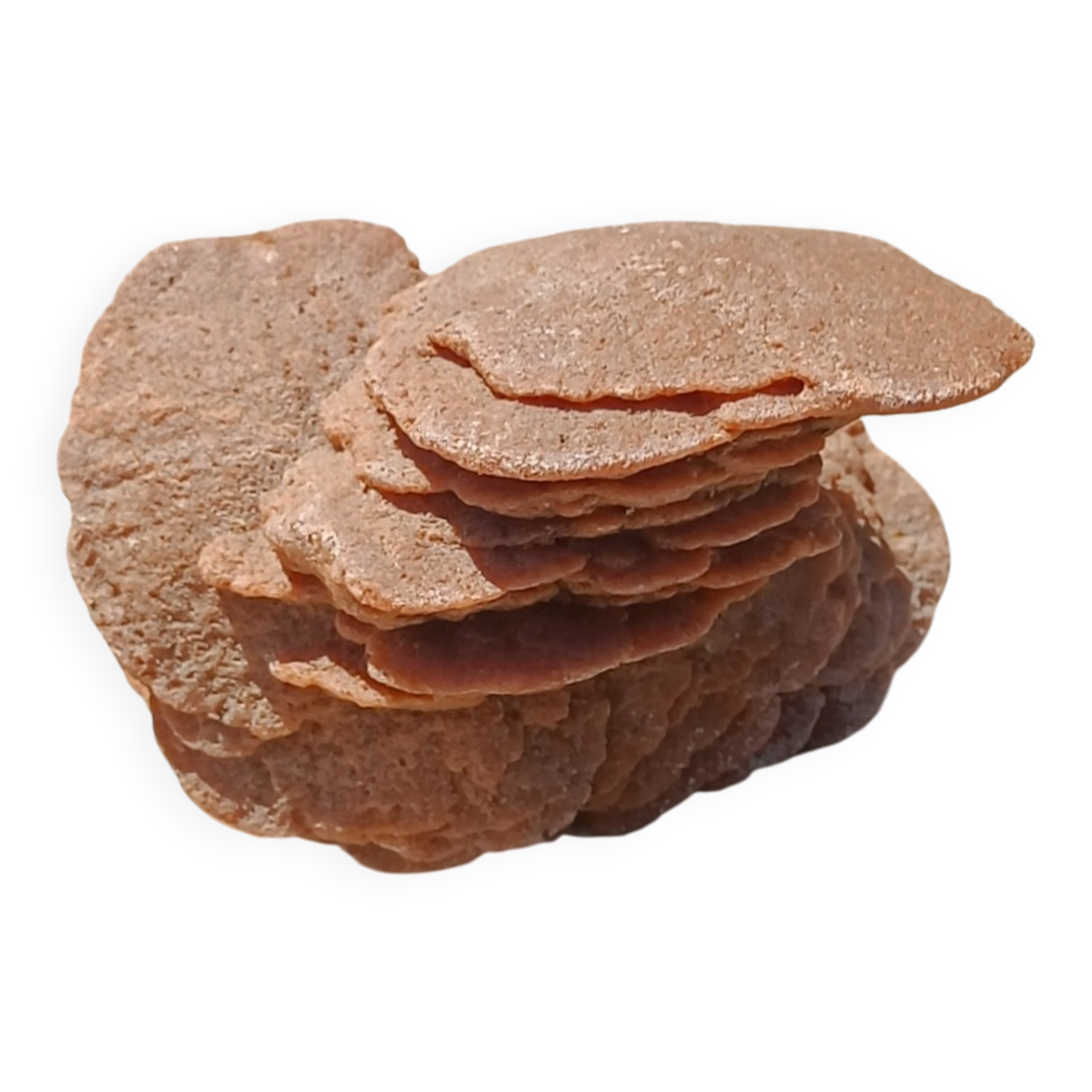 Natural sand rose