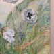 Le pied de coquelicots blanches, signé Maurice Bouillot 1972