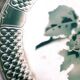 Antique plates from the Fenal Frères Pexonne factory.