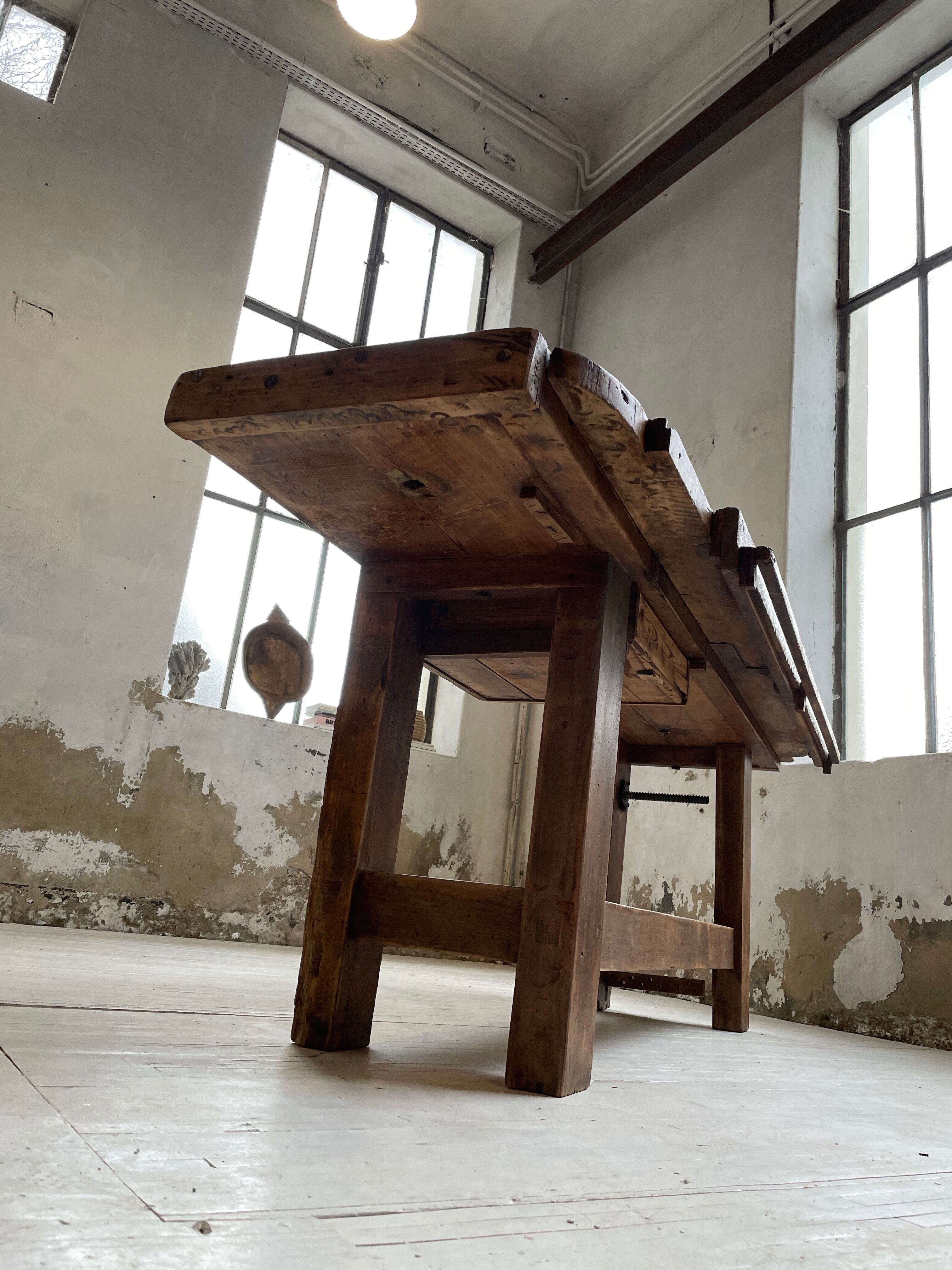 Established old oak XL