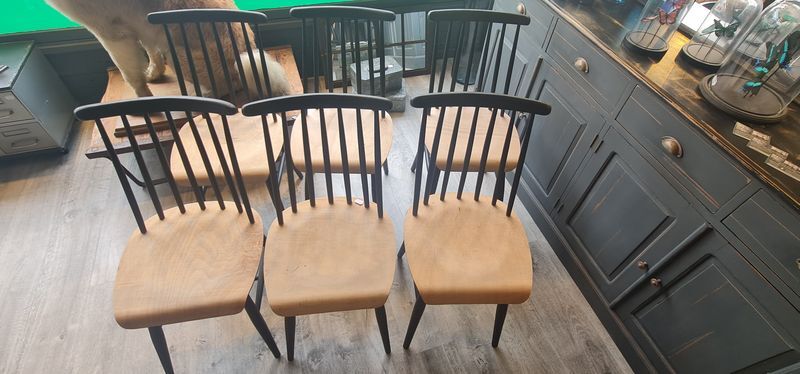 Series of six chairs Fanett by Ilmari Tapiovaara 1960