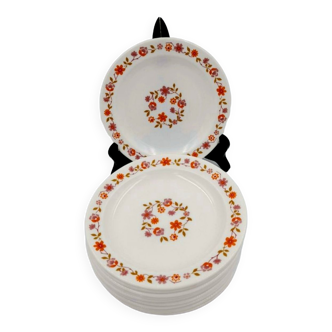 Lot 12 dessert plates Arcopal Scania