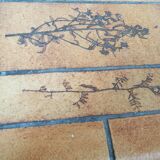 Table basse Capron modèle herbier
